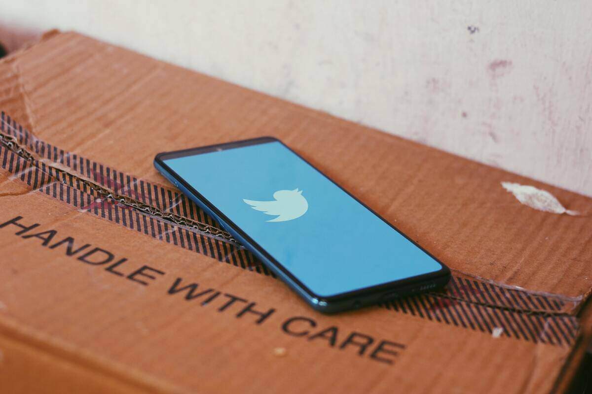 Twitter-ravi-sharma-RnW1taVZqm8-unsplash.